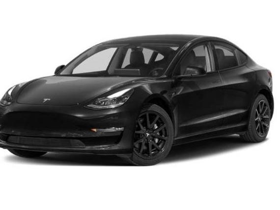 TESLA MODEL 3 2023 5YJ3E1EA5PF562297 image